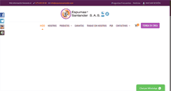 Desktop Screenshot of espumassantander.com